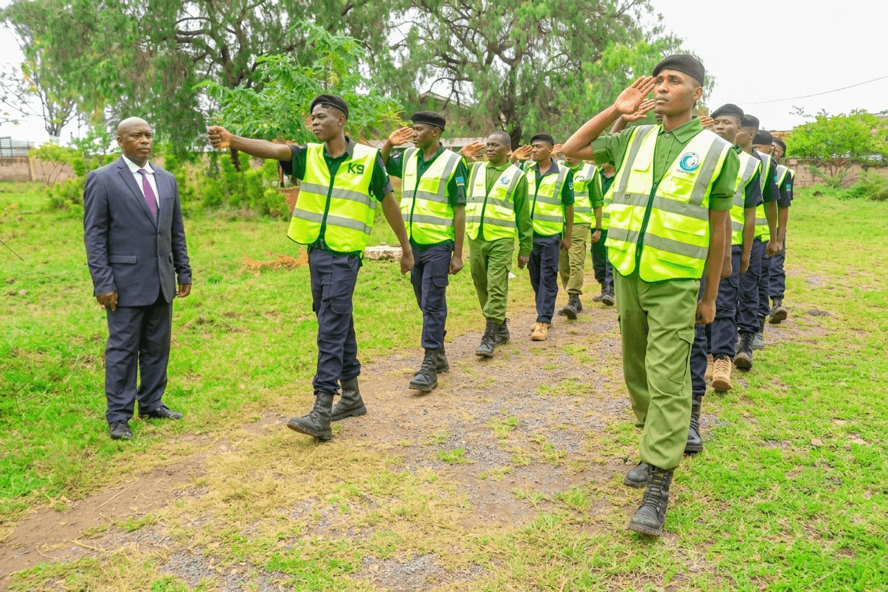 Professional security operations