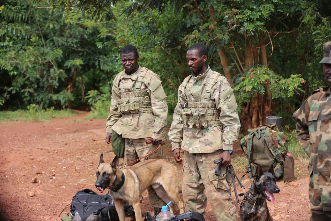 Professional K9 security operation